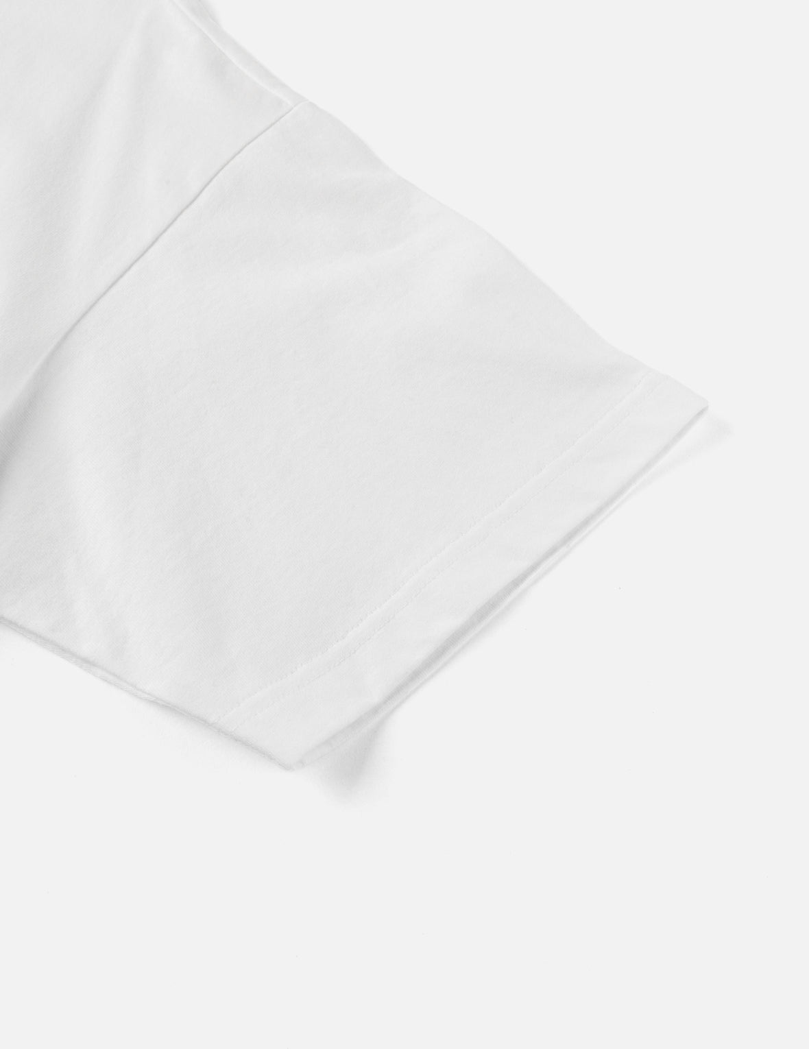 Western Landscape Seagull Embroidery T-shirt