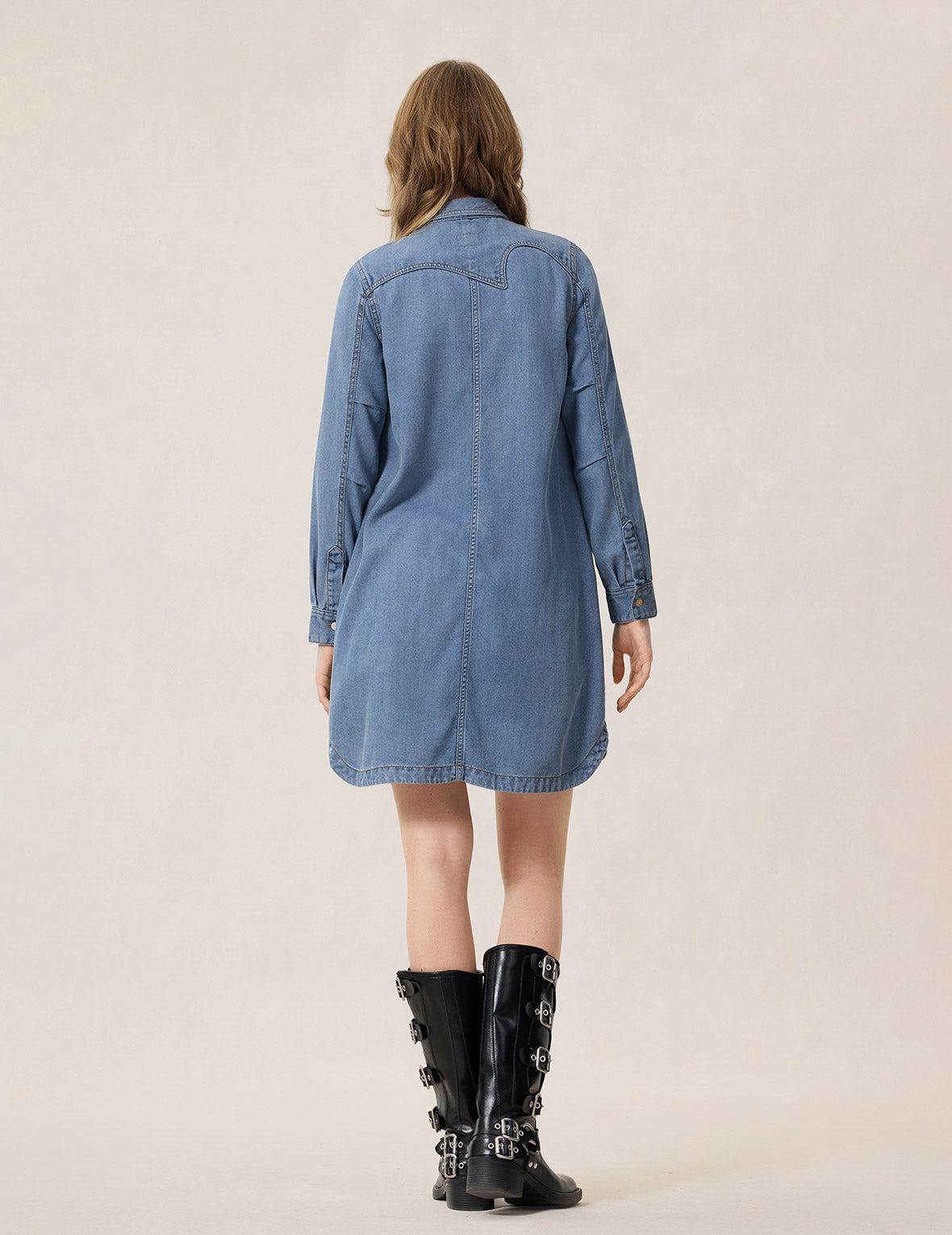 Cat Embroidery Denim Dress