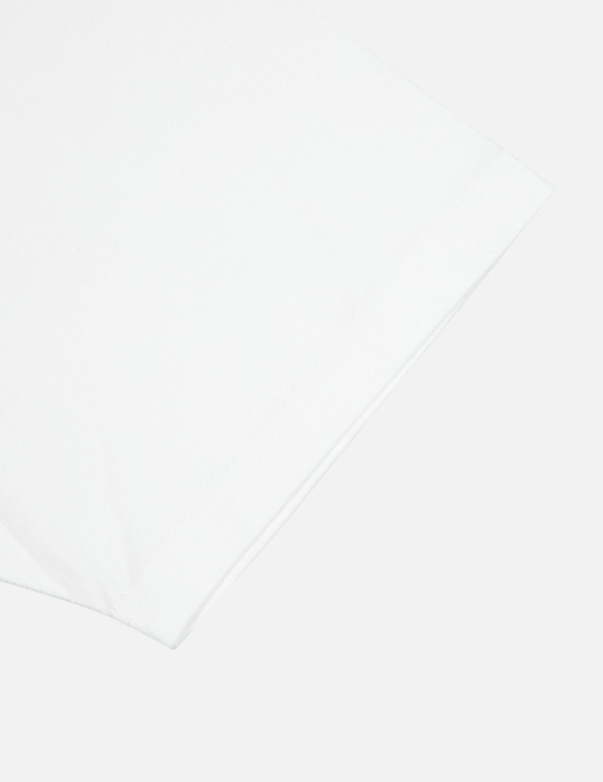 Seagull and Playful Godhead Print Regular Fit T-shirt