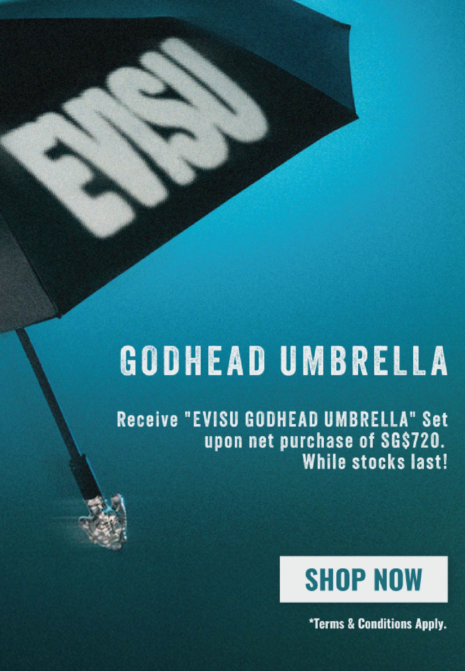 Mobile slideshow image