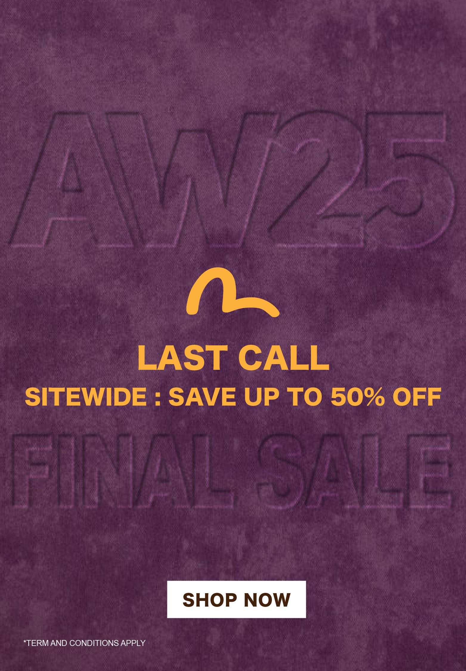 Mobile slideshow image