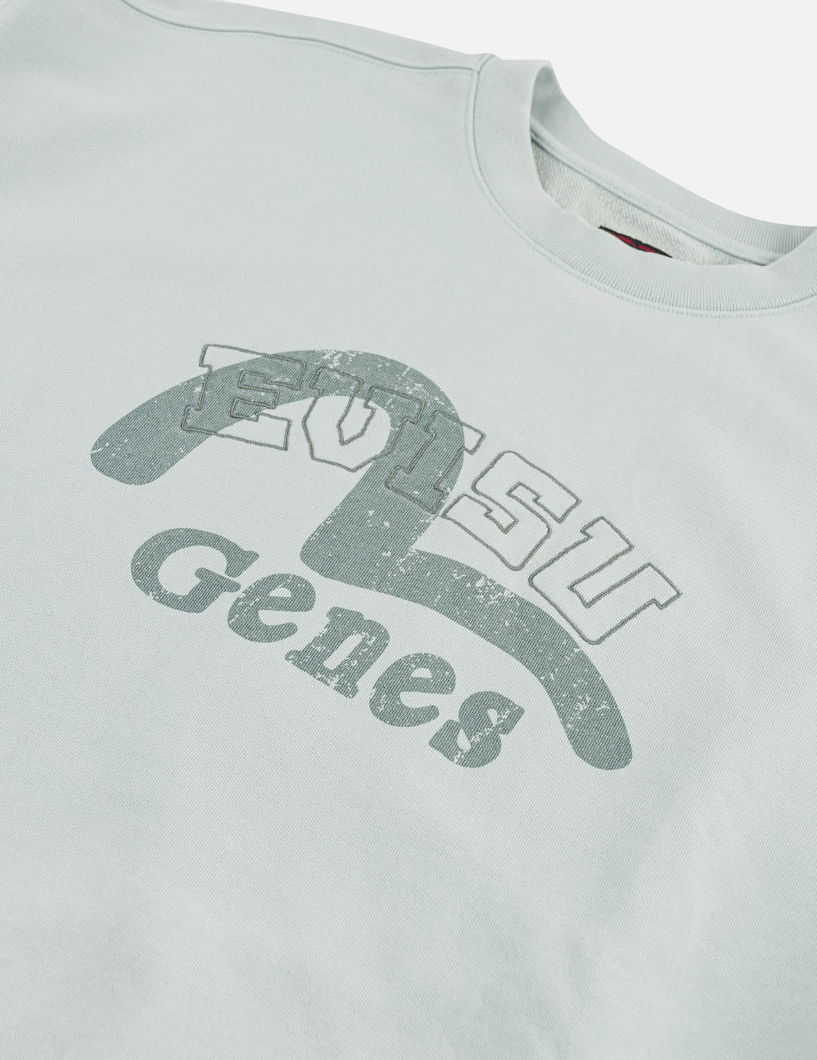 EVISU Genes海鸥卫衣