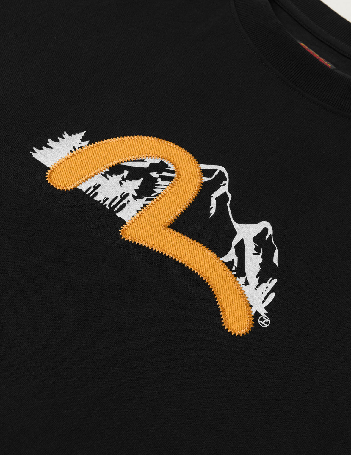 Western Landscape Seagull Embroidery T-shirt