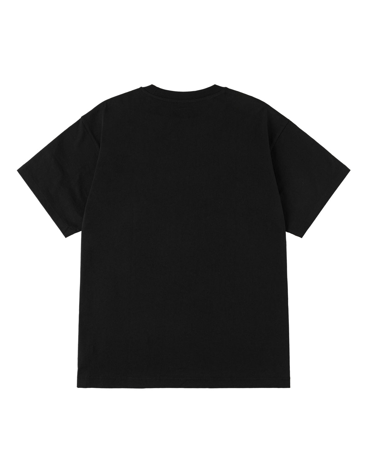 Western Landscape Seagull Embroidery T-shirt