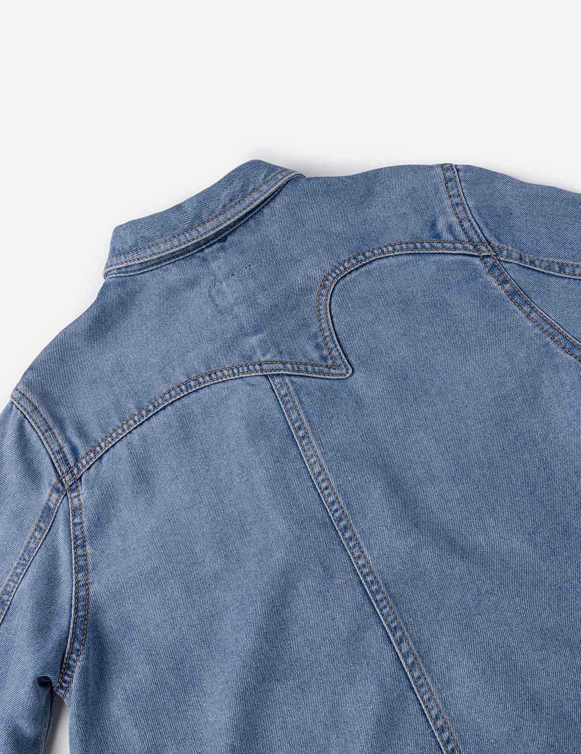 Cat Embroidery Denim Dress